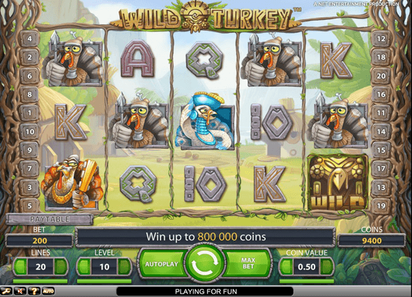 Wild Turkey Slots - Play Wild Turkey Slots Free No download. Wild Turkey Slots - Play Wild Turkey Slots Free No download.