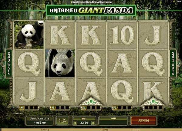 Giant panda slot machine