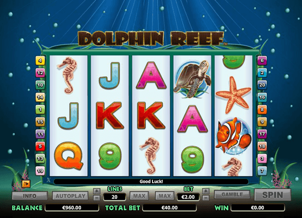 Dolphin Reef Slot Game