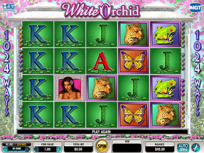 White orchid slot machines