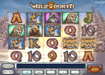 Wild North Slot Game