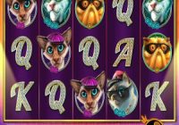 The Catfather