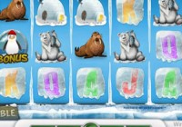 Icy Wonders