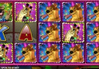 Wild Birthday Blast
